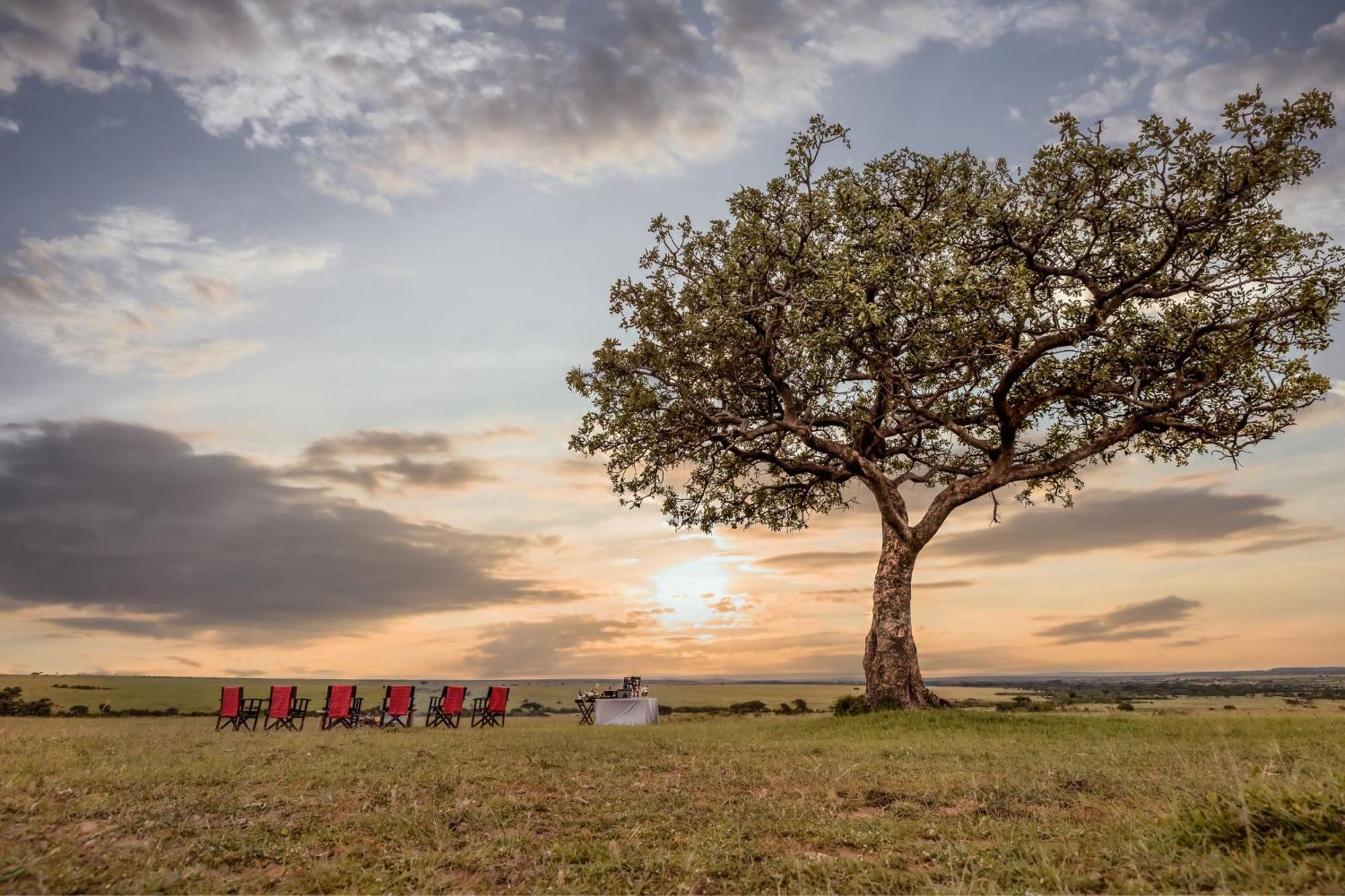 Jw Marriott Masai Mara Lodge 마사이마라 외부 사진